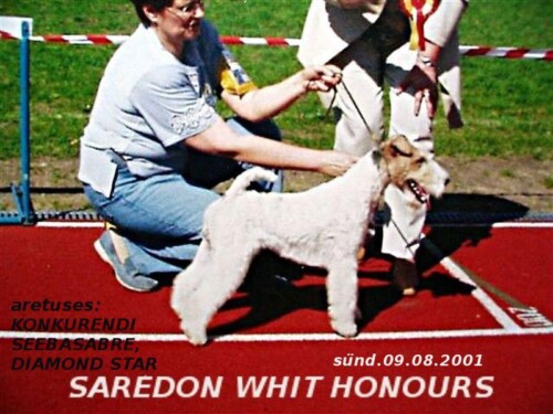 11-1-Saredon-with-Honours-arhiiv