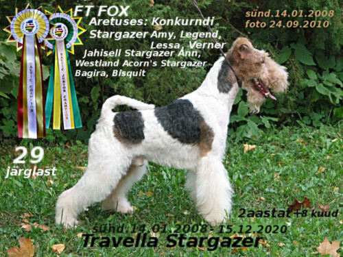 29-1-Travella-Stargazer-arhiiv
