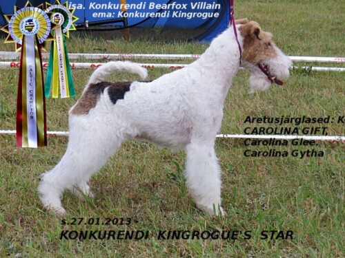 43-2-Konkurendi-Kingrogue-Star-arhiiv